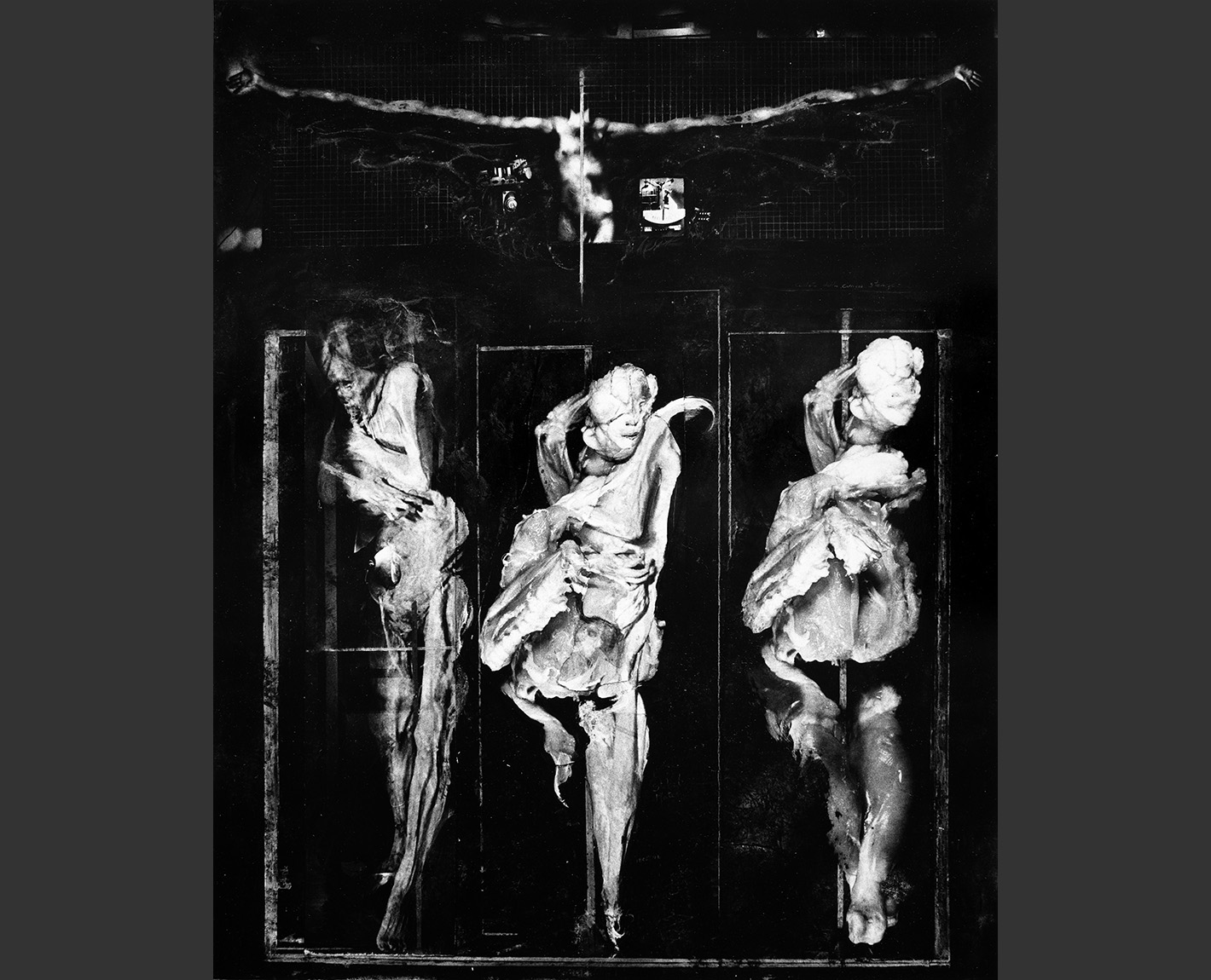 Figure Studies, Paul Lowry